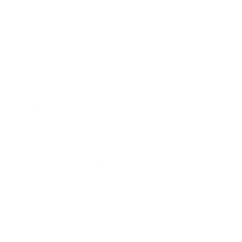 Icon Brain